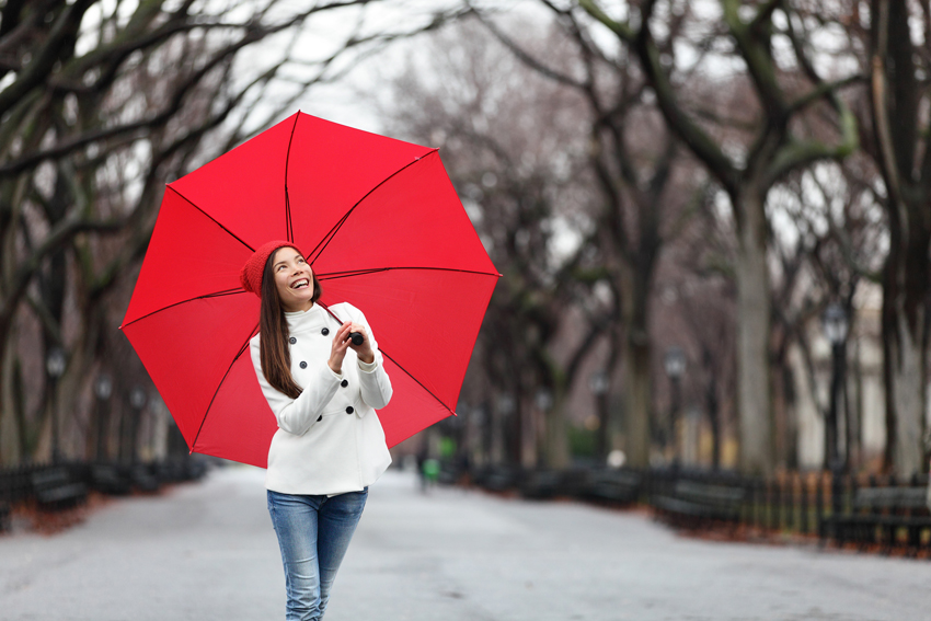 Personal  Umbrella Insurance